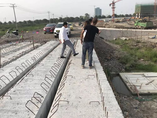 攻坚龙之梦 我们在行动 日报二百六十