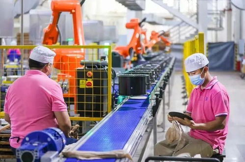 云茶名企 大益集团勐海茶业有限责任公司