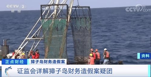 证监会借助北斗导航查出扇贝 逃亡 真相 獐子岛被罚60万,董事长等人辞职