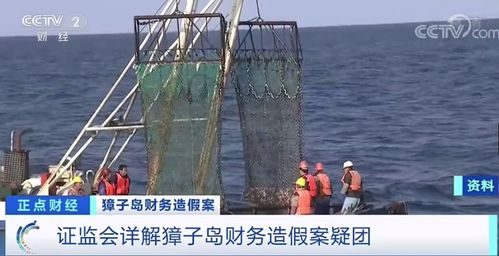 证监会出动卫星拆穿獐子岛 扇贝 终于还我清白了